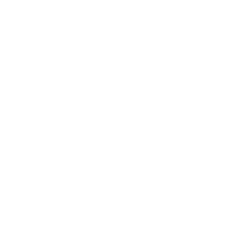 Brand Logo - Angénieux